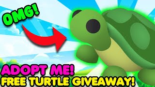 Im Giving Away A Free TURTLE In Adopt Me DREAM PET GIVEAWAY [upl. by Trebmal]