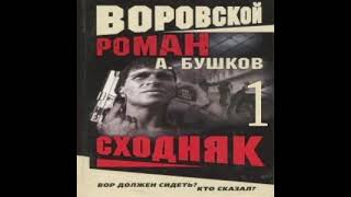 Сходняк Александр Бушков Аудиокнига БОНУС в описании [upl. by Angi]