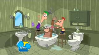 Sera un dia Fenomenal BSO  Phineas y Ferb Spain  CD  DVD [upl. by Zerat]