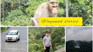 Thamarassery churamviews of wayanad passKerala tourism wayanad [upl. by Boyt421]