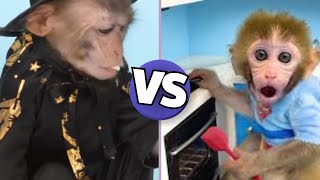 Monkey Raja VS Magical Monkey😀Who win Monkey Raja [upl. by Oaoj]