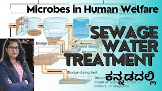 Sewage water Treatment Microbes in Human Welfare Important questions NEET kannada [upl. by Orfurd]