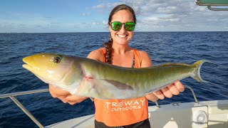 BIG Sand Tilefish Catch Clean and Cook Fish Cakes Florida Offshore Fishing [upl. by Eldwen48]