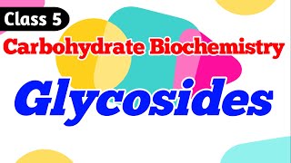 Glycosides  What are Glycosides Carbohydrate Biochemistry Class 5 [upl. by Nannahs667]