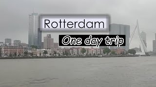 Rotterdam Dutch New York One day trip Explore Rotterdam in 24 hours [upl. by Urson]