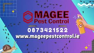 Best Pest Control Services  Best Pest Control Services in Dublin [upl. by Oigroig623]