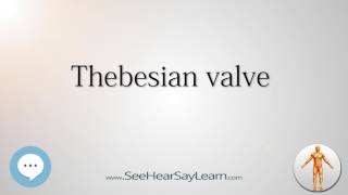 Thebesian valve Anatomy Named After People 🔊 [upl. by Everrs]