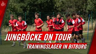 NLZTrainingslager VLOG  U17 und U19 in Bitburg  1 FC Köln [upl. by Eta23]