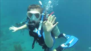 Scuba Diving  St Kitts amp Nevis [upl. by Ehcar262]