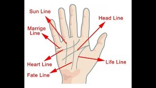 HOW TO READ YOUR OWN PALM LINES [upl. by Etra449]