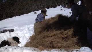 Heuziehen  Bergbauern im Pitztal [upl. by Sral]