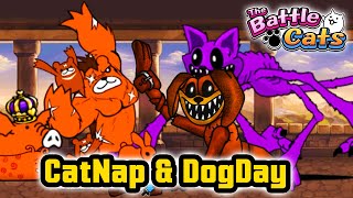 CatNap amp DogDay in The Battle Cats [upl. by Fiden]