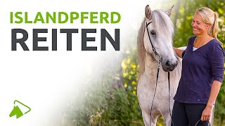 Islandpferde reiten Der Grundkurs  wehorse [upl. by Thorpe]