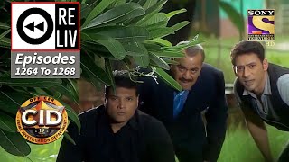 Weekly Reliv  CID  सी आई डी  Episodes 1264  1268 [upl. by Aprile]