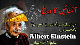 The story of Albert Einsteins Brain  Why Einstein Brain was Different [upl. by Fiedler113]