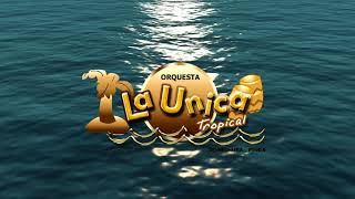 ME RECORDARAS  LA UNICA TROPICAL VIDEO LYRIC [upl. by Artimed864]