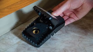 Top 5 Best Rat Traps Review In 2023  Are They Worth Buying [upl. by Kinsley]