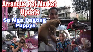 Arranque Pet Market Update [upl. by Bigg]