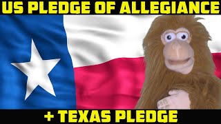 US and Texas Pledge of Allegiance for children preschool and kindergarten [upl. by Budde744]