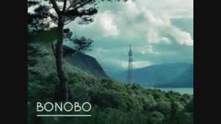 Bonobo  1009 [upl. by Riamu]