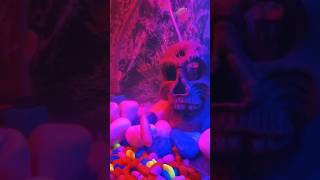 New tank mates  New tank setup  Colour full fishes  Best tank for beginners  happyfish 😄 [upl. by Lisab975]