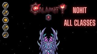 Terraria Calamity The Devourer of Gods Master Death Mode No Hit All Classes [upl. by Massimiliano]