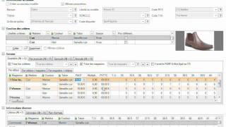 Changement de prix dans le logiciel de gestion boutique Polaris [upl. by Edelstein75]