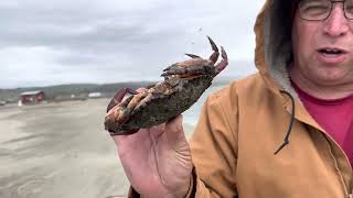 Crab fishing  Lawsons Landing  Near Bodega Bay [upl. by Adanar]