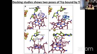 Hayley Knox – Structural basis for nonradical catalysis by TsrM a radical SAM methylase [upl. by Steinke]