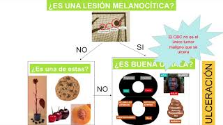 Casos difíciles en Dermatoscopia [upl. by Veta607]