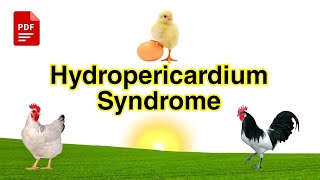 Hydropericardium Syndrome  HPS  Etiology Transmission Signs Diagnosis and Treatment  HPS Pdf [upl. by Annerb744]