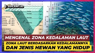 Ini zona kedalaman laut yang perlu kamu tahu [upl. by Nanah841]