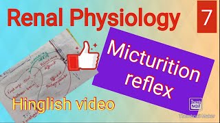 Micturition reflex physiology cystometrogram [upl. by Eitten]