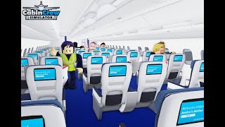 I Opened A Airplane Service [upl. by Nauqed316]