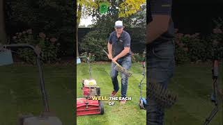 Top 3 Lawn Tools  Scarifying Rake Review amp Comparison [upl. by Sido]