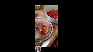 Chopping Chili Peppers [upl. by Afnin72]