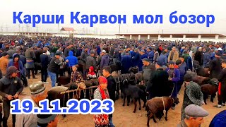 Карши Карвон мол бозори нархлари 19112023 [upl. by Legnalos745]