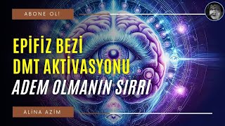 EPİFİZ BEZİ DMT AKTİVASYONU  Adem Olmanın Sırrı [upl. by Ferna890]