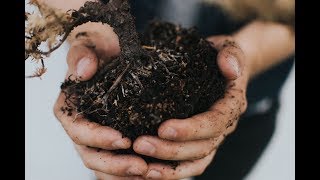 The Benefits of Humic Substances in Agriculture [upl. by Nodnahs]