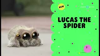 Cartoonito UK Lucas The Spider New Episodes January 2024 Promo [upl. by Karsten]