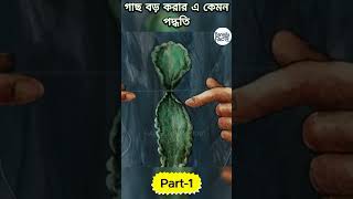 গাছ বড় করার এ কেমন পদ্ধতি II 😱😨cartoon facts bhuter animation katunbangla banglacartoonviral [upl. by Carolann657]