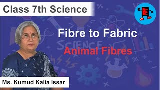 CBSE Class 7 Science Fibre to Fabric Animal Fibres Extraminds [upl. by Plotkin194]