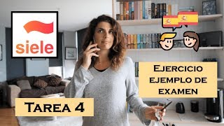 🦜EJEMPLO  CONSEJOS Tarea 4 Expresión e Interacción ORALES SIELE nivel B2 [upl. by Elletnuahc]