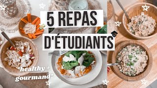 5 idées de plats pour étudiants 80  Facile pas cher et rapide [upl. by Suoicul472]