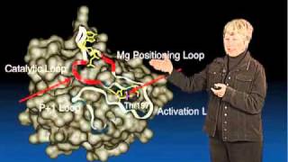 Susan Taylor UCSD Part 2 Architecture of a Protein Kinase [upl. by Roderick]