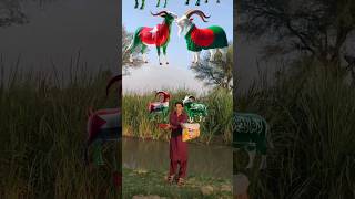 bakra Laray 🤣 ll trending viral funny islamic shortvideo [upl. by Gardner]