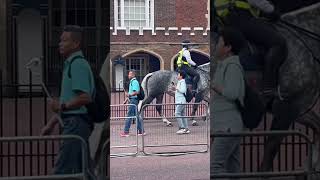 Buckingham palace changing of the guard begins at St James Palace MWF 1030am [upl. by Nnyllaf]