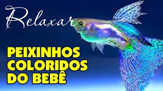 PEIXINHOS COLORIDOS PARA O BEBE RELAXAR E DORMIR TELA ESCURECENDO [upl. by Ledoux]