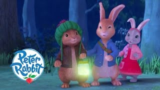 Peter Rabbit Introduction Learning [upl. by Garrard]