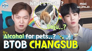 CC CHANGSUB going camping with his dog🐶 BTOB CHANGSUB KEY [upl. by Diannne20]